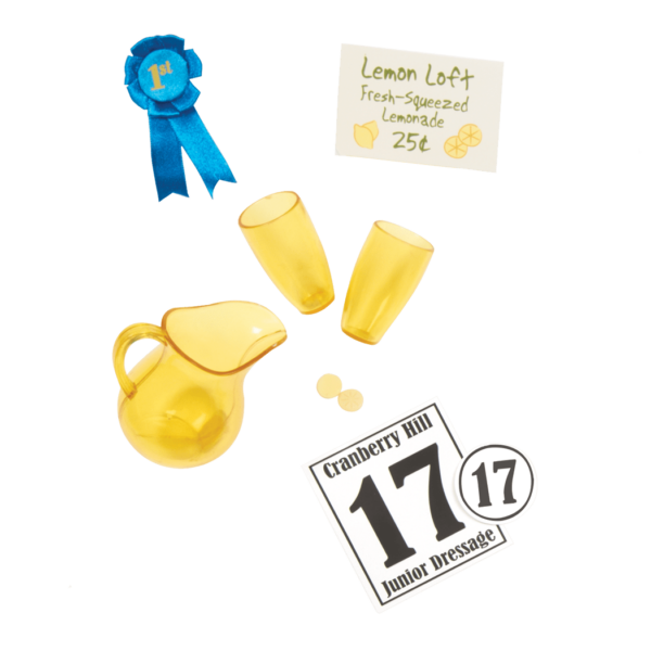 Our Generation Lily Anna with Riding Book