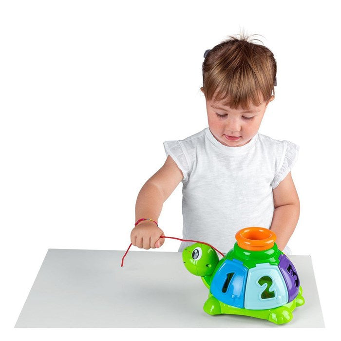 Chicco Baby Senses Sort & Surprise Turtle