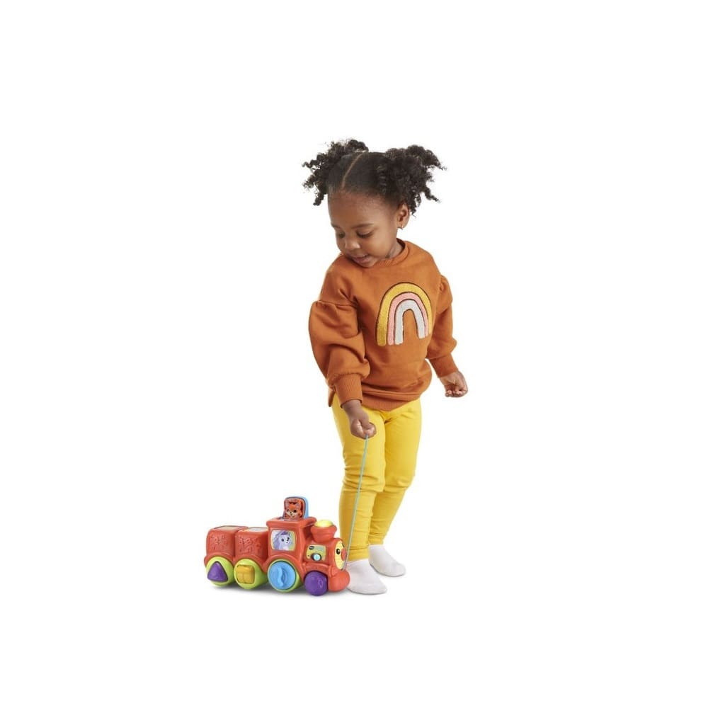 VTech Baby Pop and Sing Animal Train