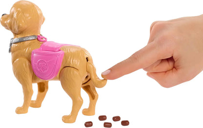 Barbie Family & Friends Dog Walk JJB46