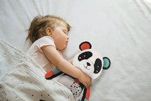 Clementoni Love Me Panda Activity Toy