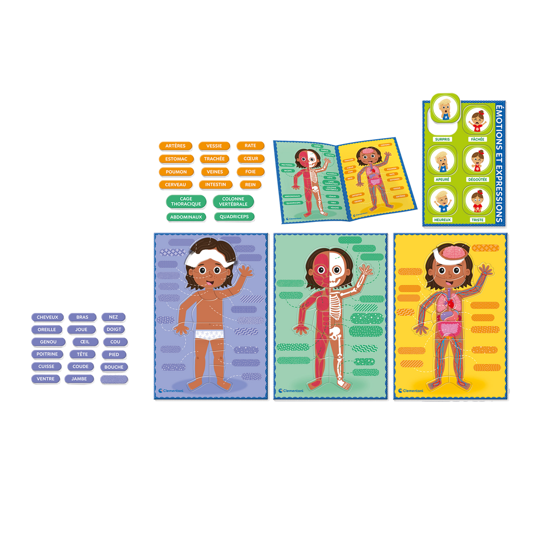 Clementoni EDUCATION: MONTESSORI - LE CORPS HUMAIN