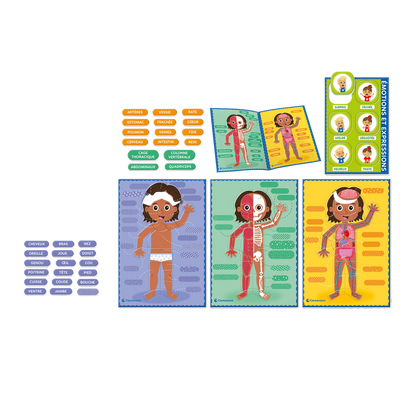 Clementoni EDUCATION: MONTESSORI - LE CORPS HUMAIN