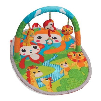 INFANTINO Explore & Store Activity Gym