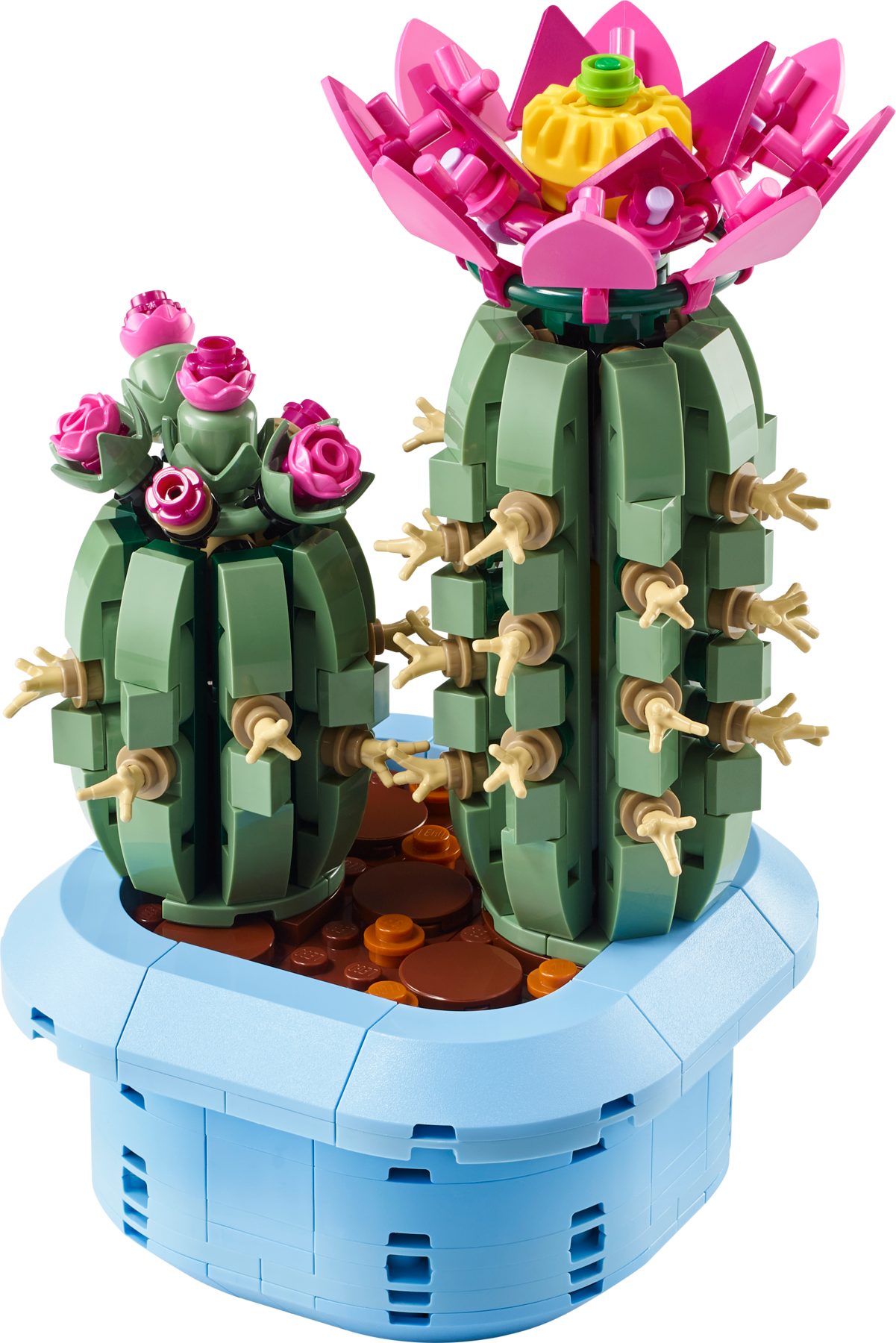 LEGO Botanicals Flowering Cactus 11509