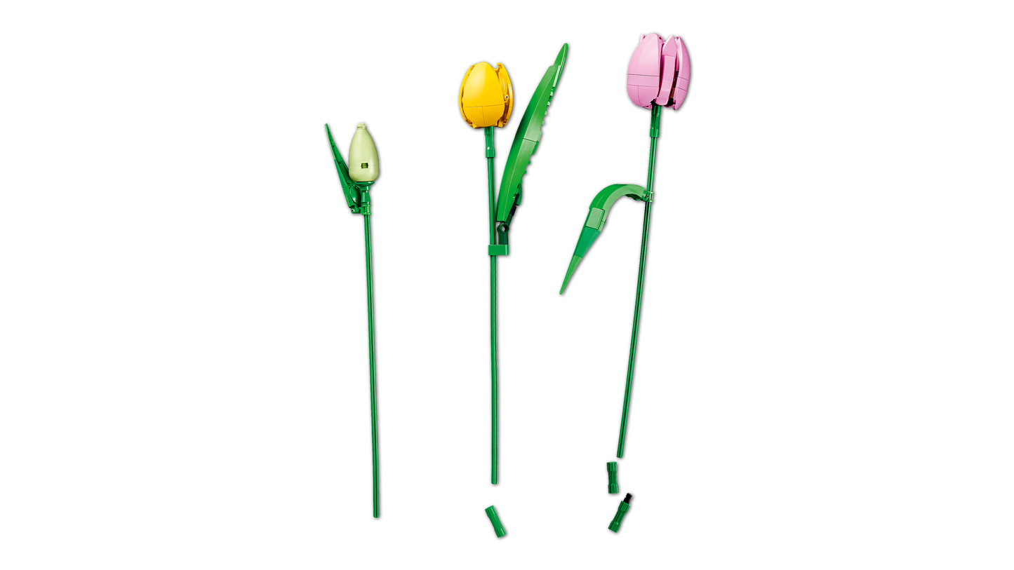 LEGO Botanicals Tulip Bouquet 11501