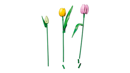 LEGO Botanicals Tulip Bouquet 11501
