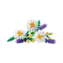 LEGO Botanicals Daisies - Wild Willy