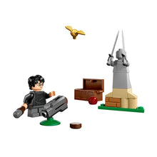 LEGO Harry Potter Quidditch Lesson  30706 - Wild Willy