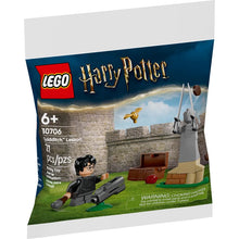 LEGO Harry Potter Quidditch Lesson  30706 - Wild Willy