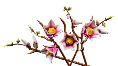 LEGO Botanicals Magnolia Branches 11510
