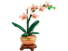 LEGO Botanicals Mini Orchid  10343 - Wild Willy