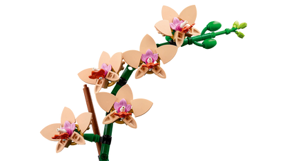 LEGO Mini Orchid Botanicals 10343