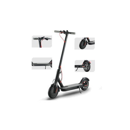 LOTUS ELECTRIC SCOOTER - 350W Lithium Battery / Front Suspension /  3 Speeds / Mobile App