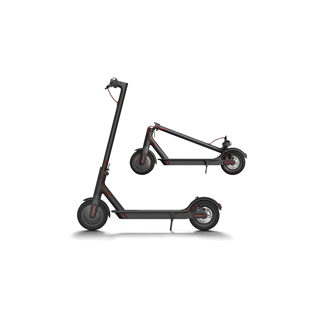 LOTUS ELECTRIC SCOOTER - 350W Lithium Battery / Front Suspension /  3 Speeds / Mobile App