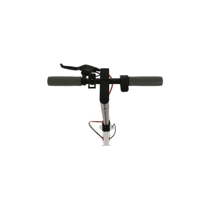 LOTUS ELECTRIC SCOOTER - 350W Lithium Battery / Front Suspension /  3 Speeds / Mobile App