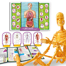 Lisciani Genius A La Decouverte Du Corps Humain