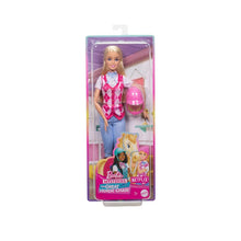 Barbie Doll Mysteries: The Great Horse Chase