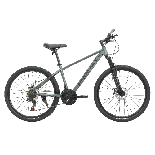 Phoenix 24-inch Bicycle with Disk Brakes - Wild Willy