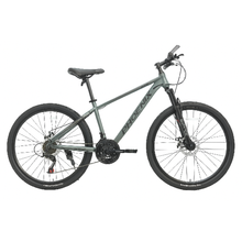 Phoenix 24-inch Bicycle with Disk Brakes