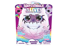 SPIN MASTER Hatchimals Big Egg Mystery Hatch