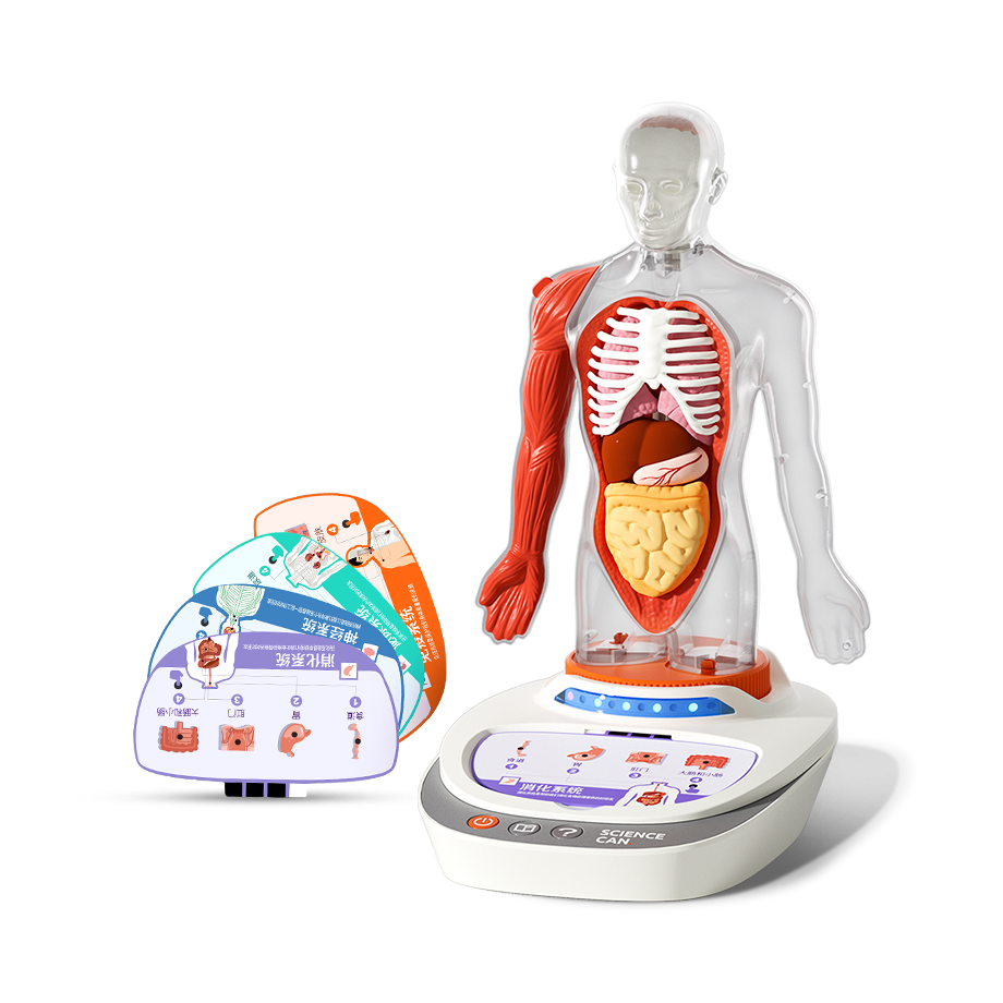Science Can My Body Voice Pedia - Wild Willy