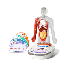 Science Can My Body Voice Pedia - Wild Willy