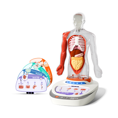 Science Can My Body Voice Pedia - Wild Willy