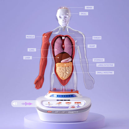 Science Can My Body Voice Pedia - Wild Willy
