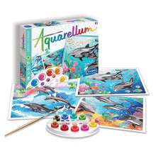 Sentosphere Aquarellum Dolphins Art Set