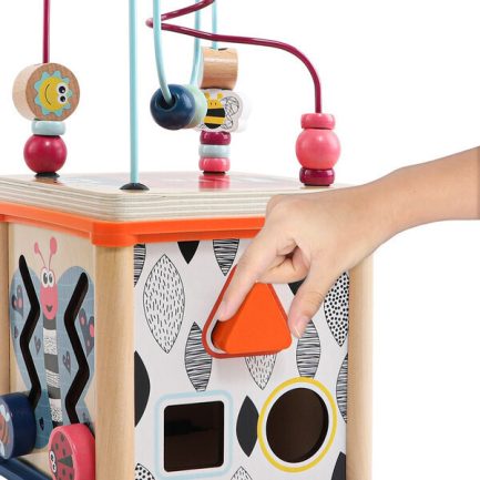 Topbright Activity Cube - Wild Willy