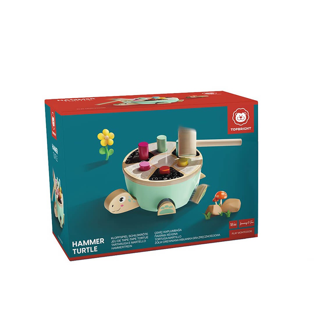 Topbright Hammer Turtle - Wild Willy