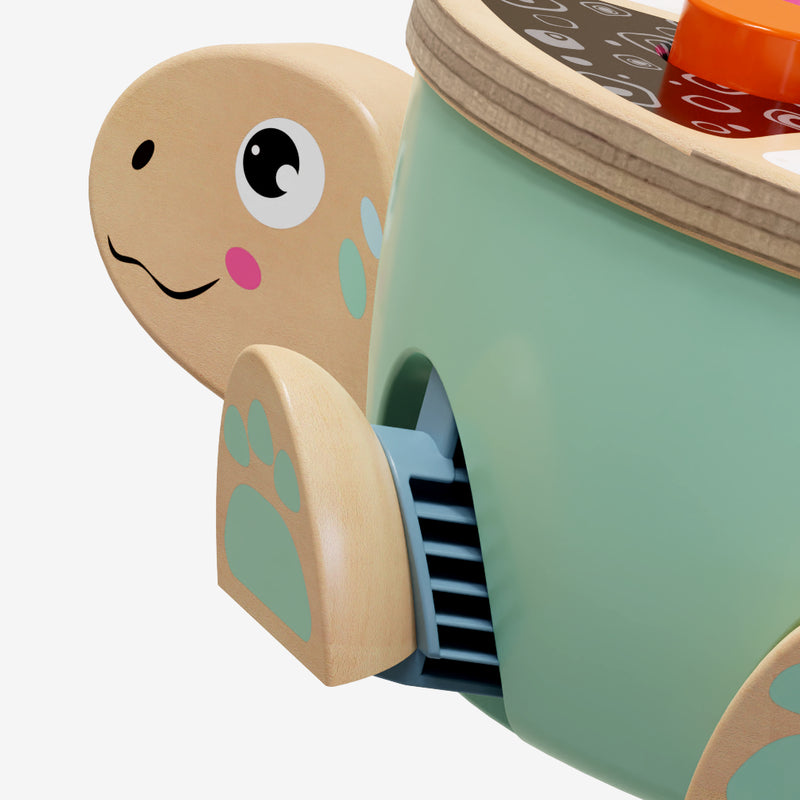 Topbright Hammer Turtle - Wild Willy
