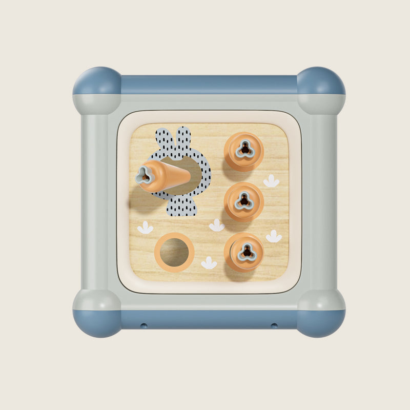 Topbright Motoric Master 10-in-1 - Wild Willy