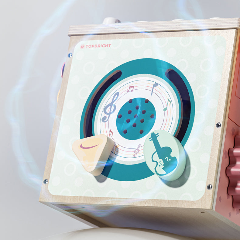 Topbright Music Activity Cube - Wild Willy