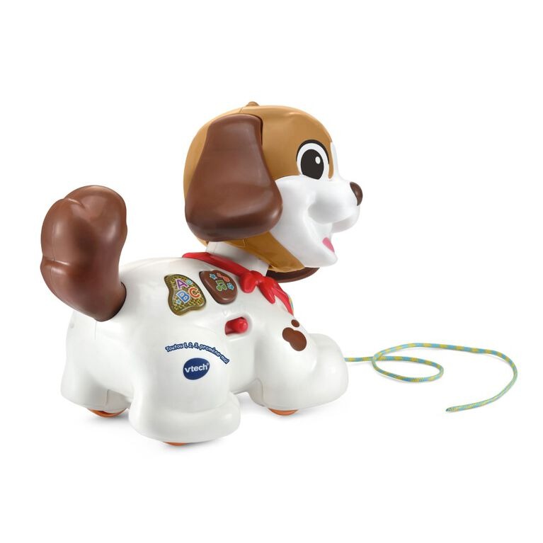Vtech Toutou 123 Promene-Moi Interactive Pet - Wild Willy
