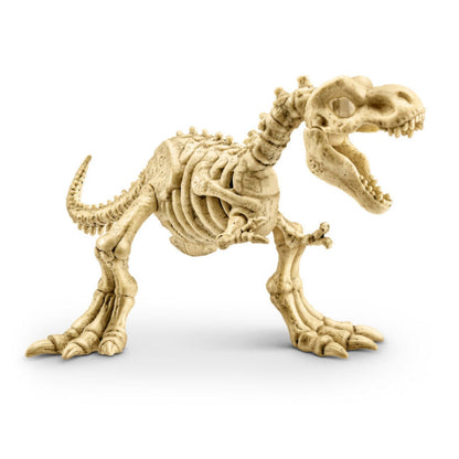 ZURU Robo Dino Fossil Find Amber Adventure