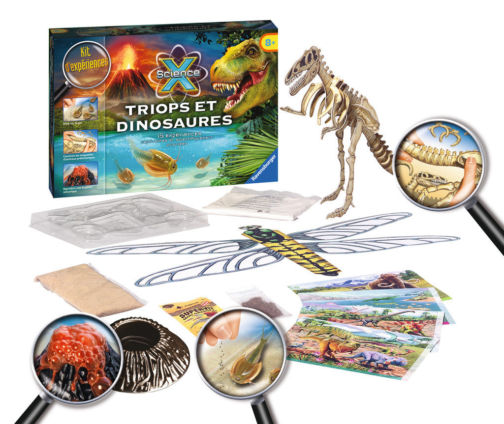 Triops & Dinosaures - Wild Willy - Toys Lebanon